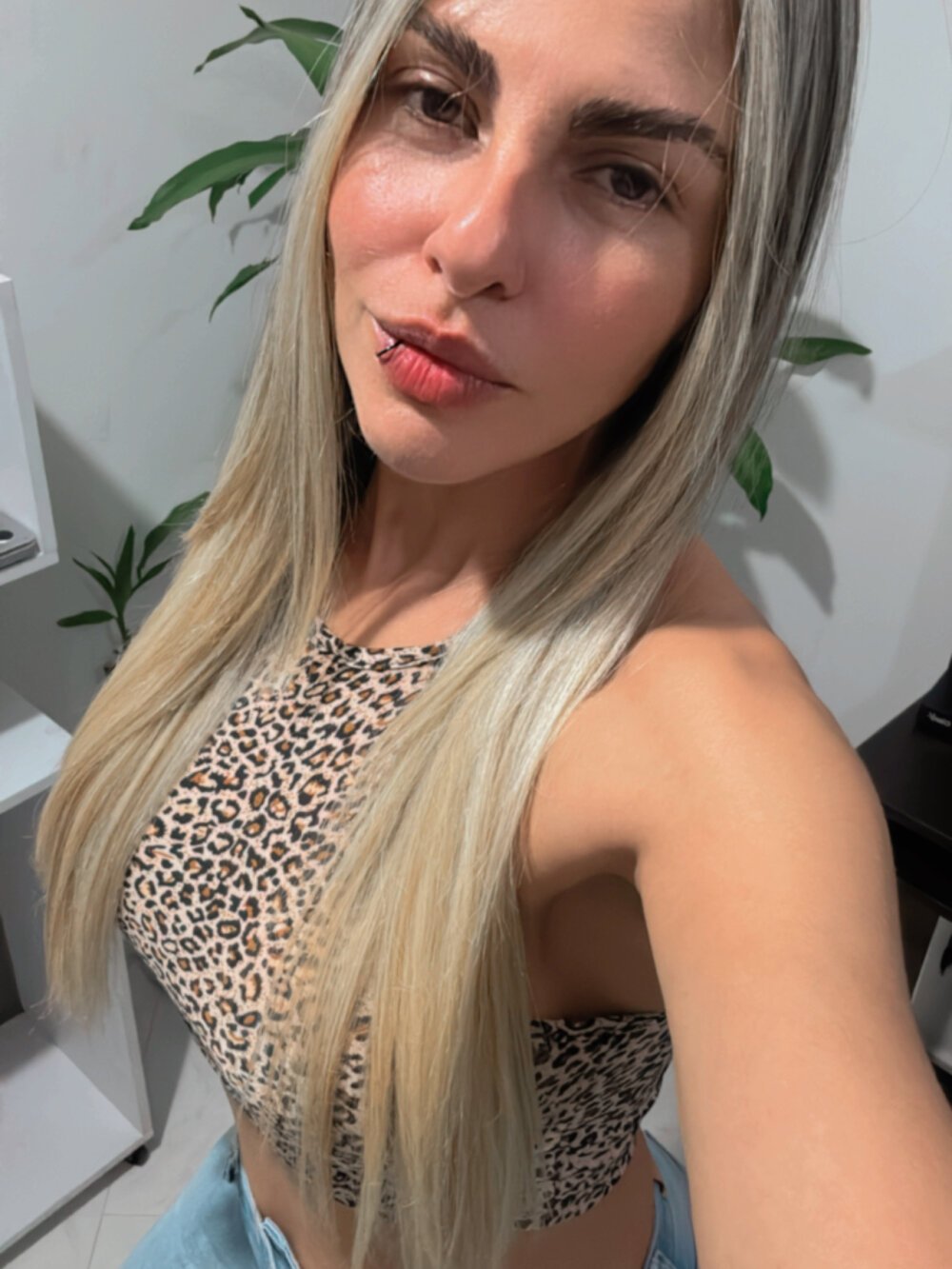 blonde_cat15