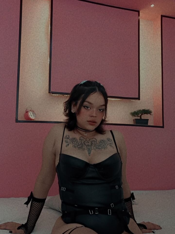 dommekitty