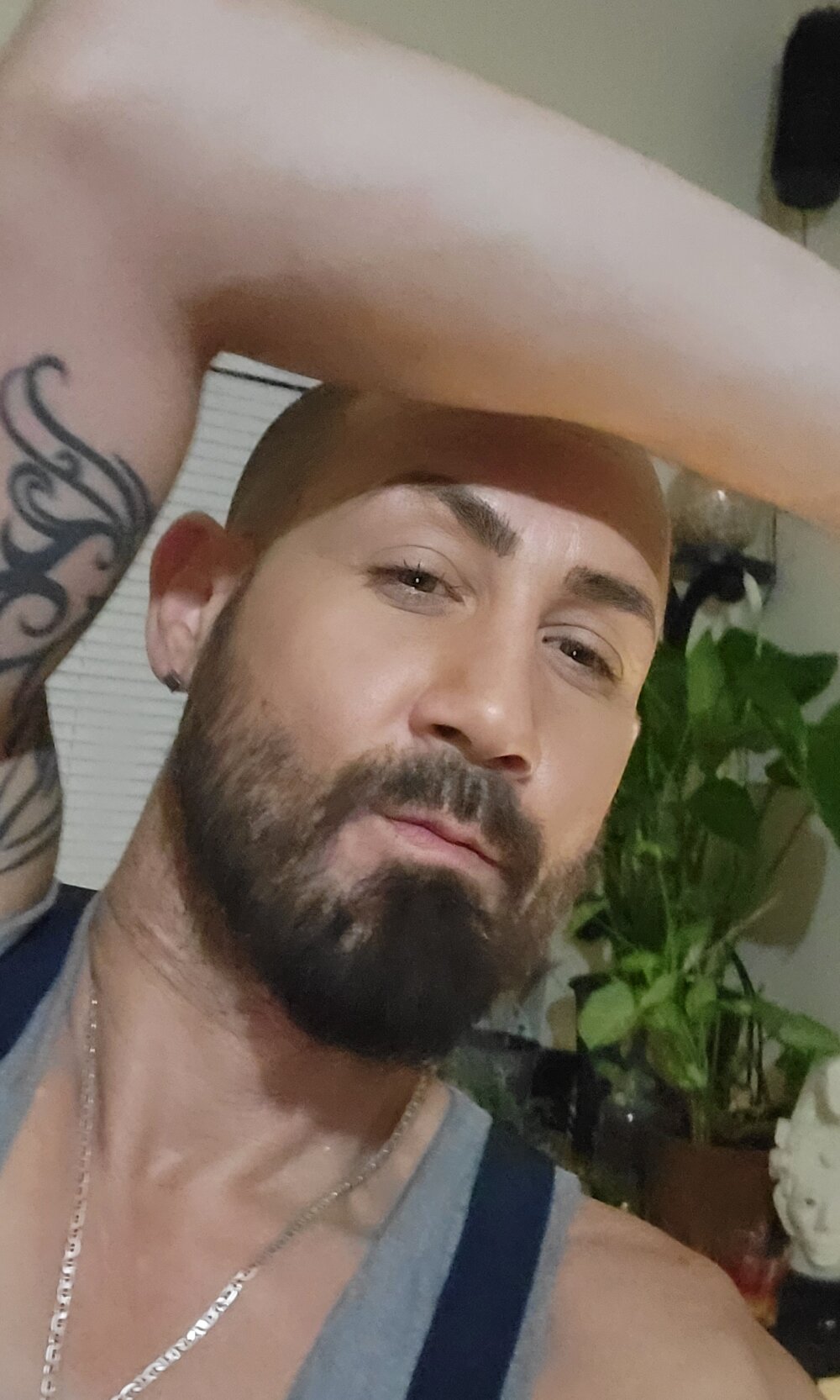 italianpapidripdrip